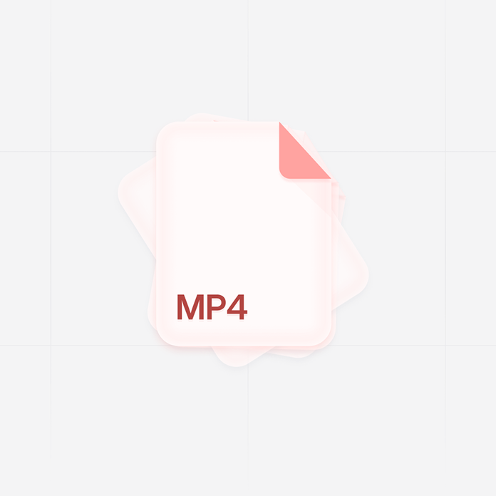 Supports all common formats